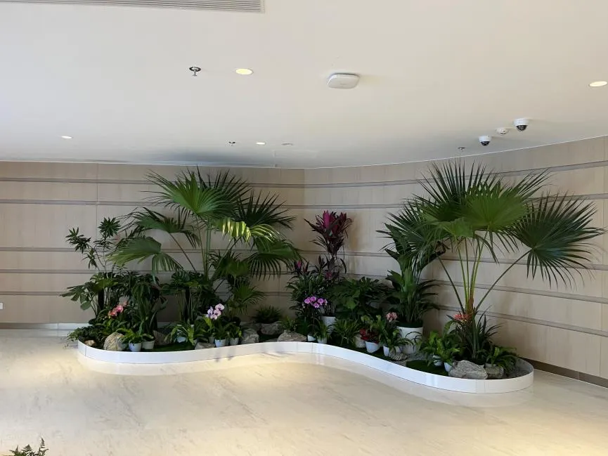 选花木出租，就找宁波镇海这家靠谱公司！